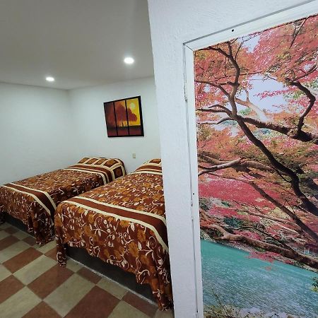 Hotel Vicalis 샌후안토드와캔 외부 사진